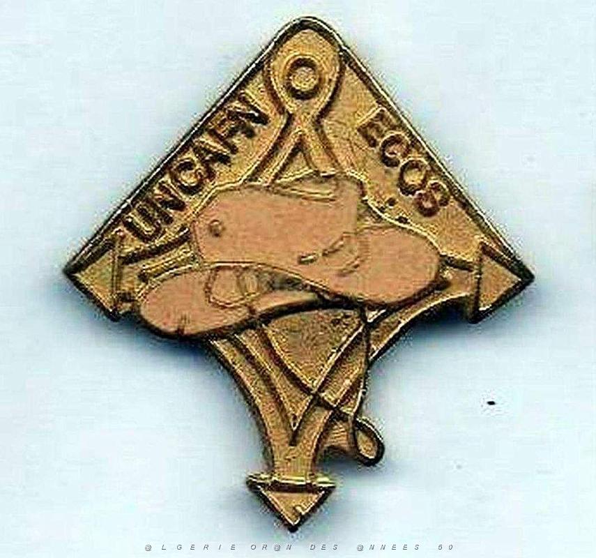 Insignes divers - 109.jpg